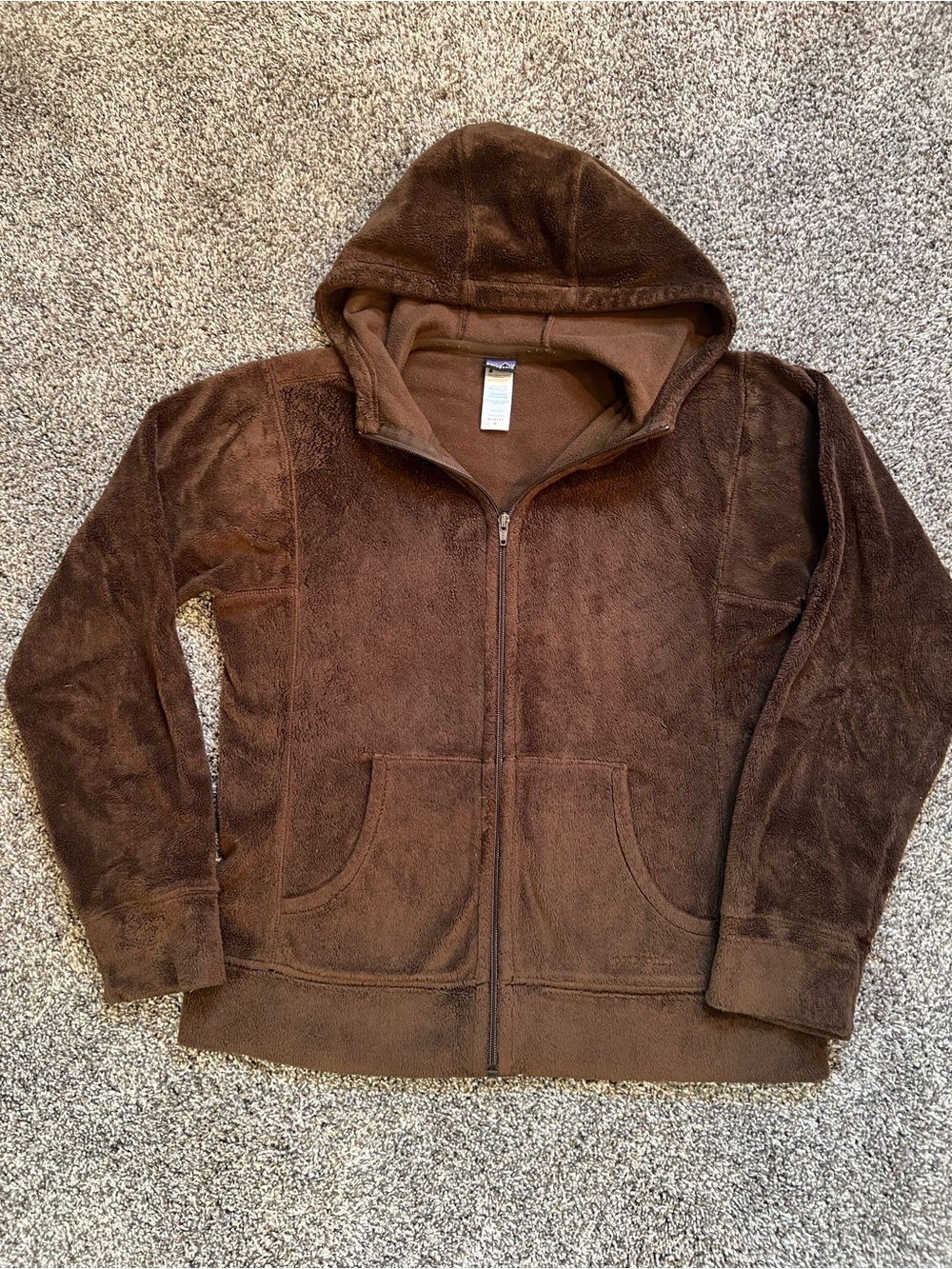 Patagonia Plush Synchilla Hoodie